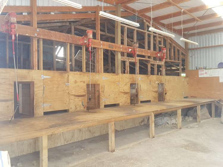 293 Freezing Works Road Balclutha_9