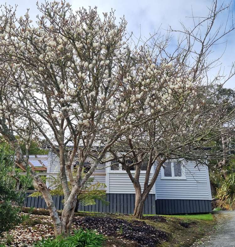 1411 Rotowaro Road_3