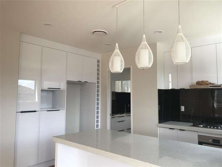 20 Evelina Lane Flat Bush_10