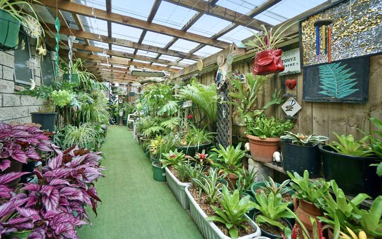 13a Washer Place Te Puke_22