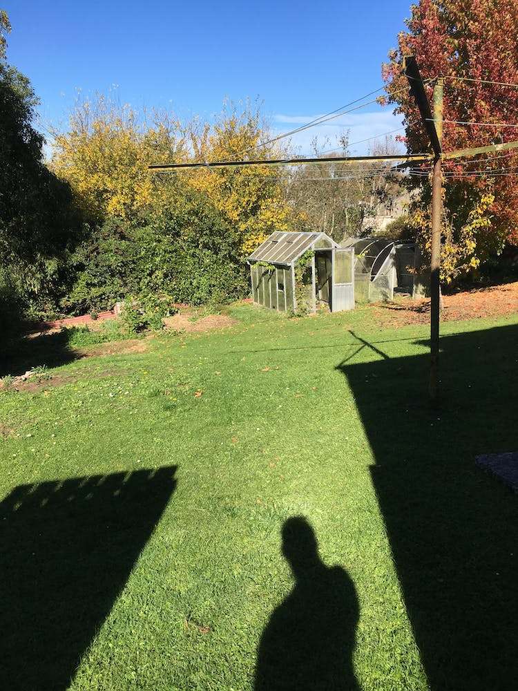 34 Collins Street Waikouaiti_9