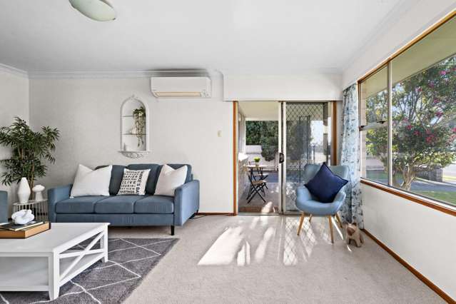 44 Alpers Terrace Marewa_3