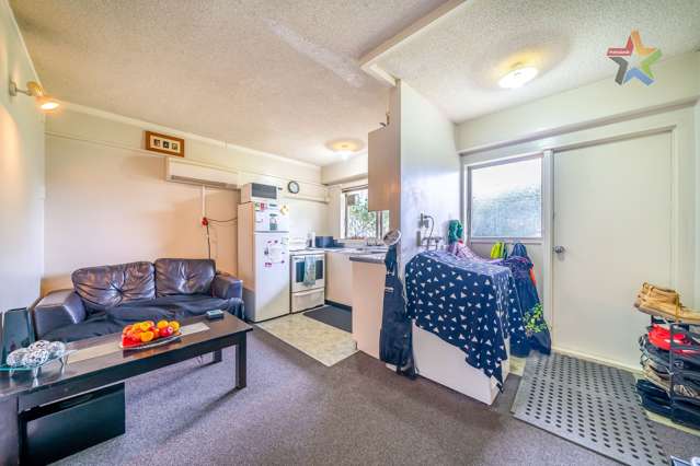 2/21 Britannia Street Petone_3