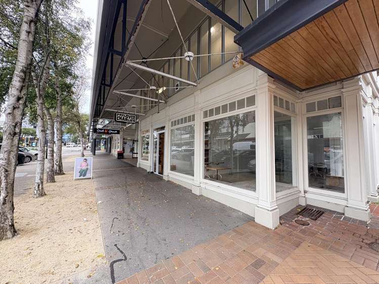 Ground/120 Victoria Street Te Aro_0