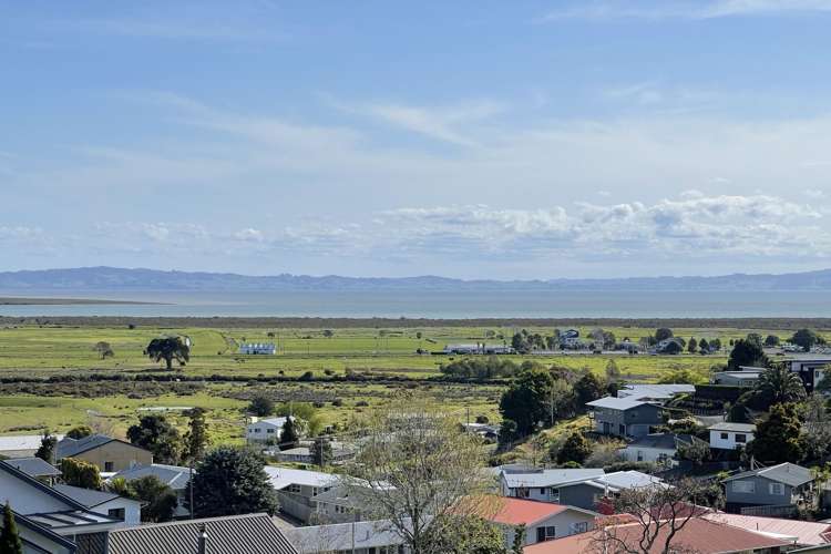 303 Marshall Crescent Thames_5