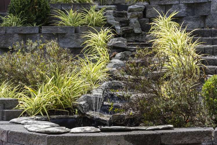 31 Corricvale Way Northcross_33