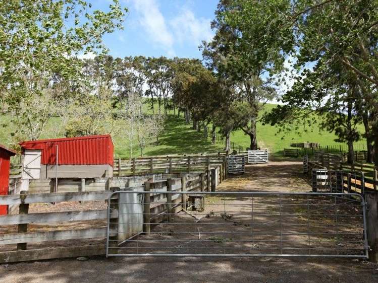 1019 Clevedon Kawakawa Road Clevedon_5