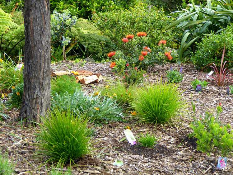 53 Kitewaho Road Swanson_100