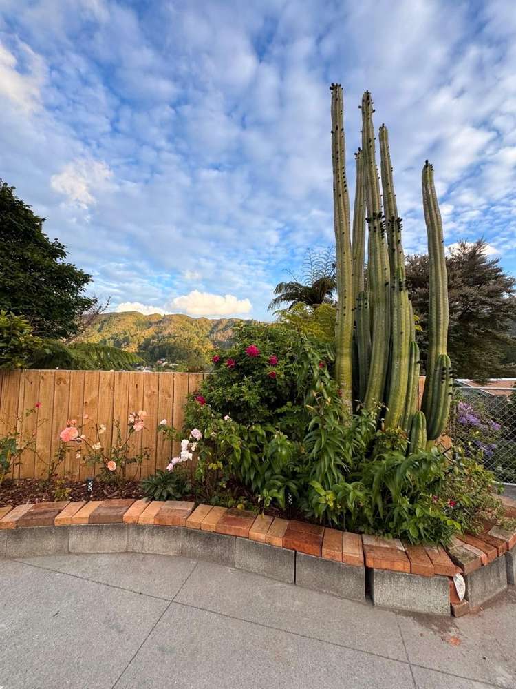 27 Amundsen Grove Stokes Valley_26