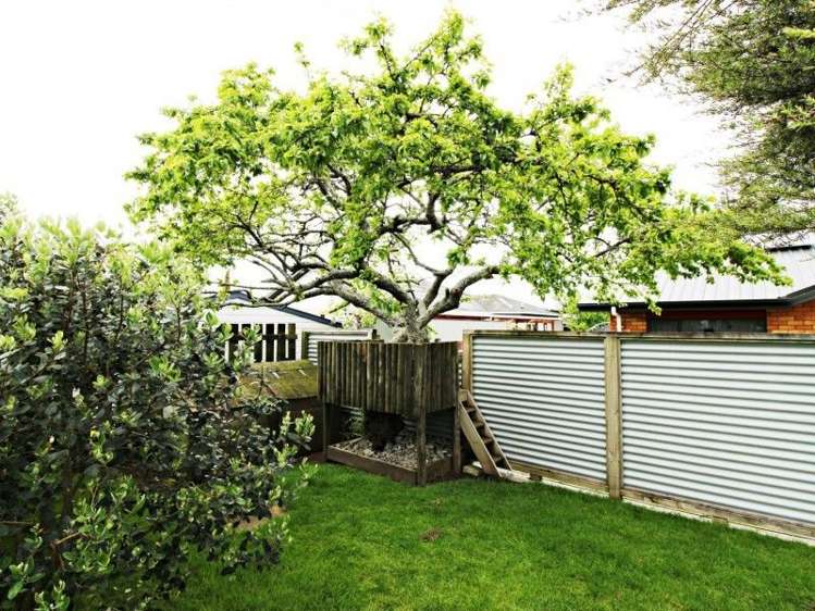 30a Coronation Road Morrinsville_19