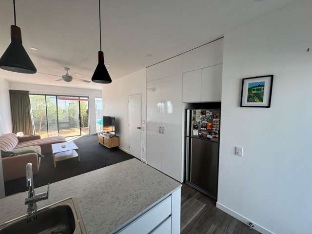 14/6 Oswald Crescent Paparangi_4