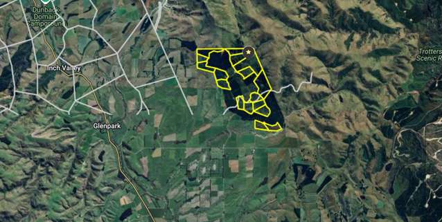 Expansive Forest Land 171Ha on 19 Titles!
