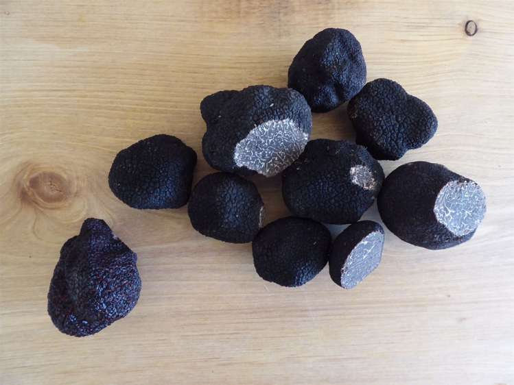 318 Millers Road Gebbies Valley_27