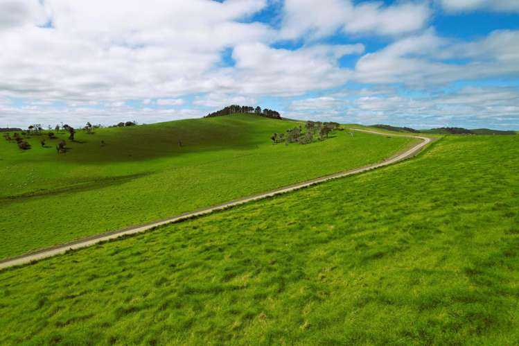 Rehia Road Ruawai_10