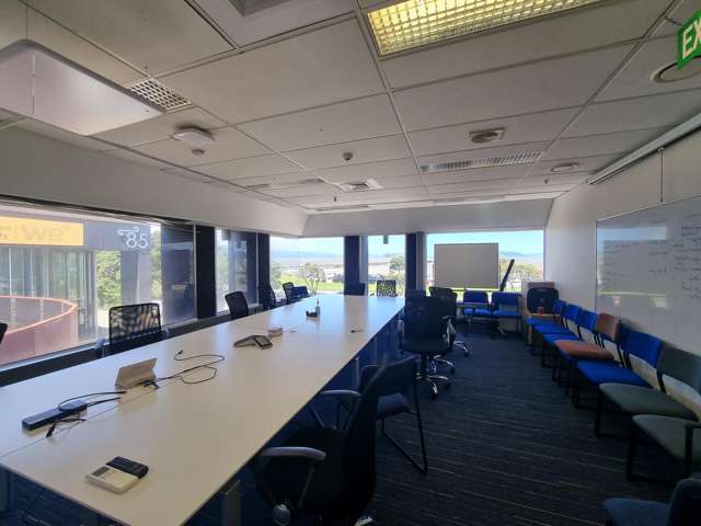 85 The Esplanade Petone_2