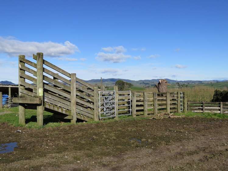 673 Hetherington Road Rotongaro_16