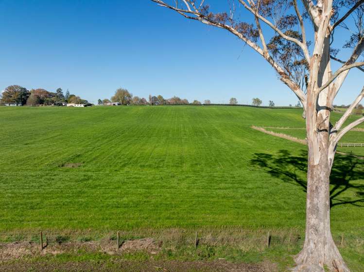 - Puketutu Road Matamata_11