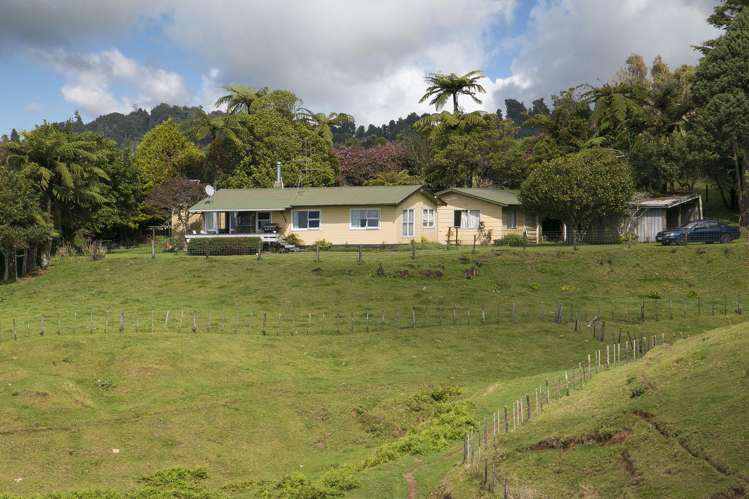 933 Whakamarama Road Whakamarama_12