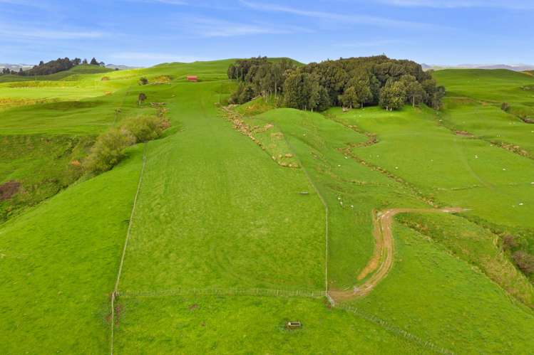 486 Ngatarawa Road Mahoenui_24