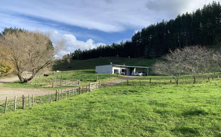 872 Maungarangi Road Paengaroa_11