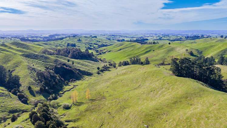 1139 Blackburn Road Ongaonga_5