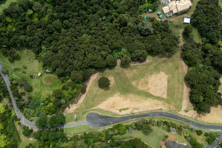 216 Three Oaks Drive Dairy Flat_1