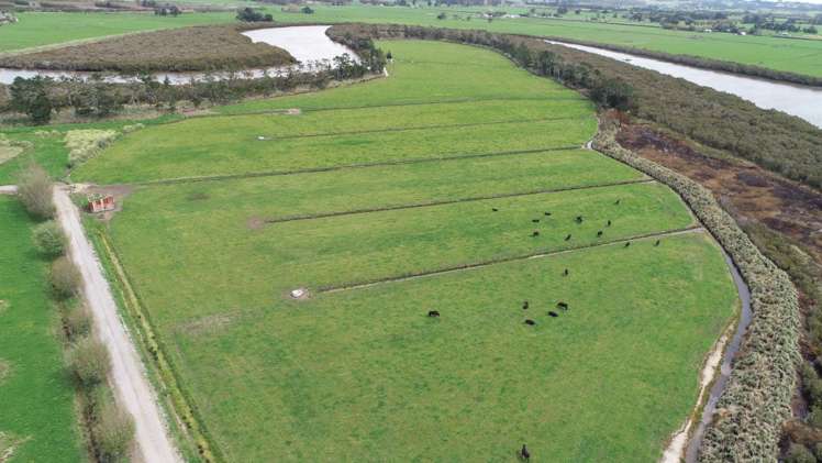 403c Kumi Road Awanui_7