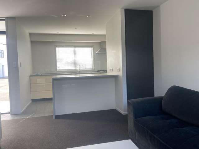 6/195 Massey Street 1057_4