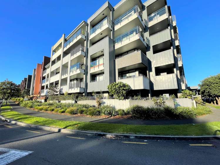 03/2g Bluegrey Avenue Stonefields_0