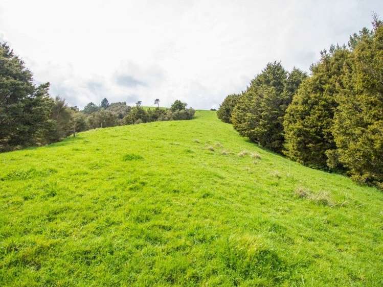 522 Tapuhi Road Hukerenui and Surrounds_15