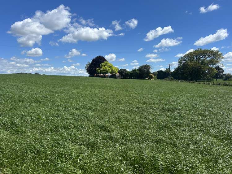 54 Puahue Road Te Awamutu_5