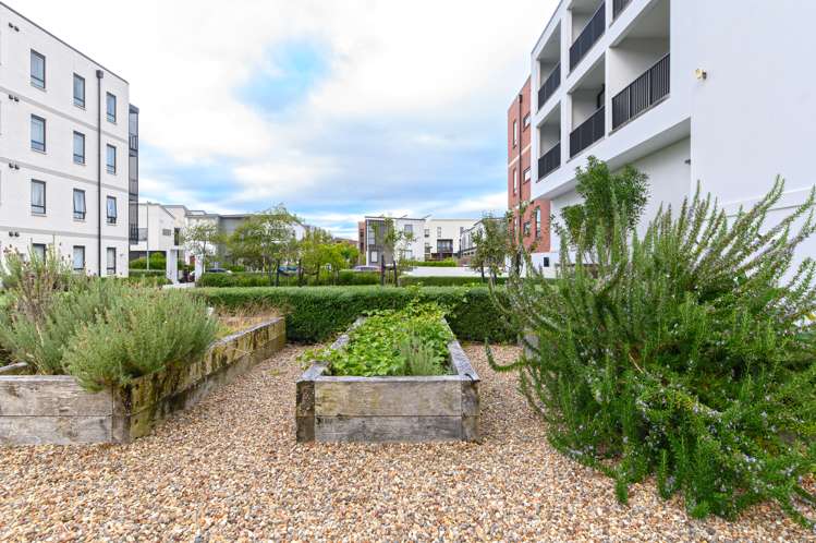 112/81 Mapou Road Hobsonville_14