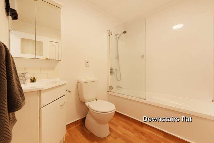 68 Norway Street Aro Valley_19