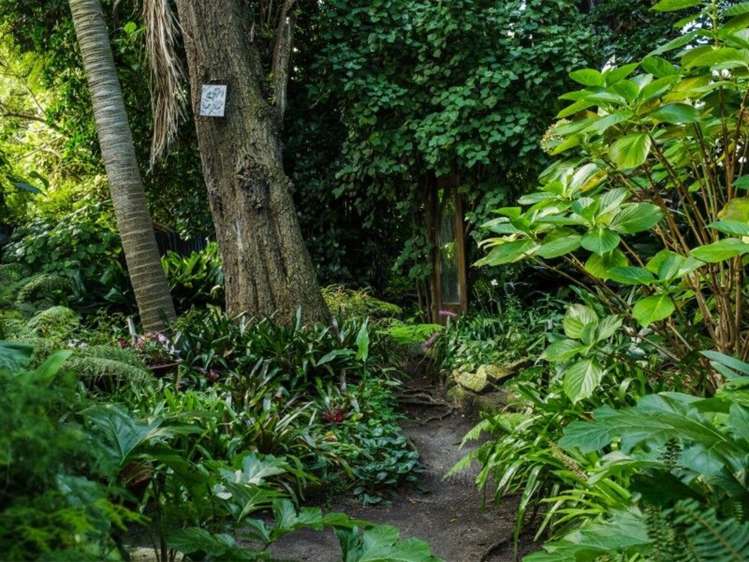 4 Rawiri Street Kaiti_21