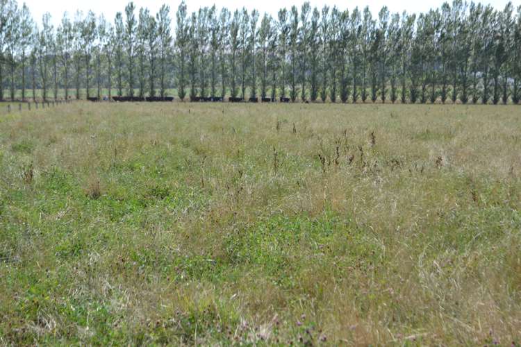 74 Topps Road Rotherham_20