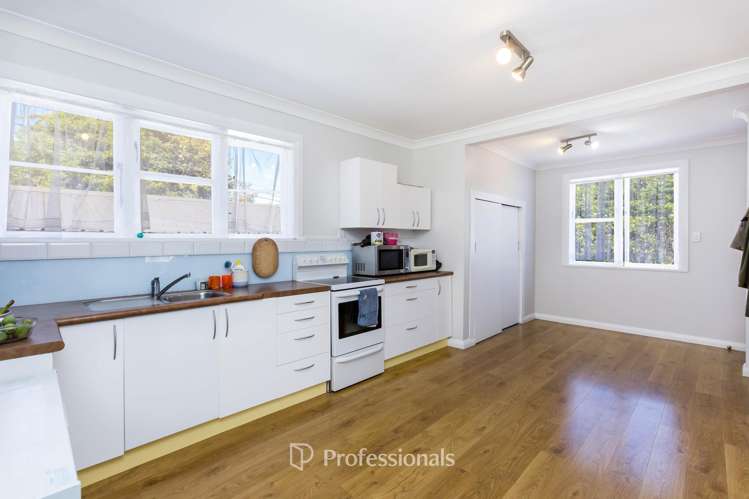 21 Akatarawa Road Brown Owl_2