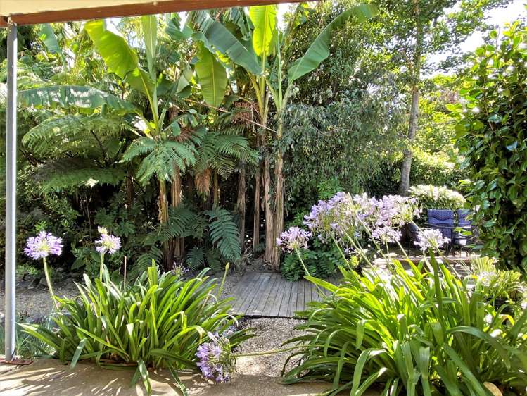 471 Abel Tasman Drive Kahurangi National Park_5