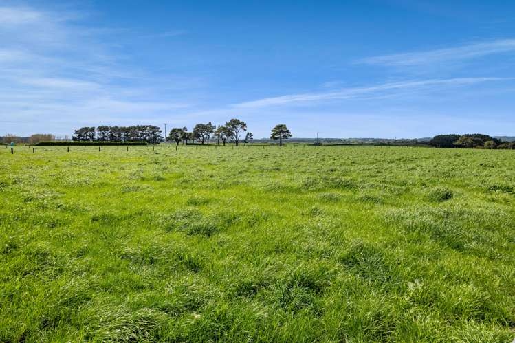 40 Arthur Street Hawera_2