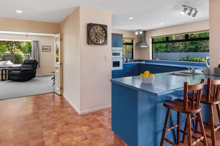 43 Havelock Street Renwick_9