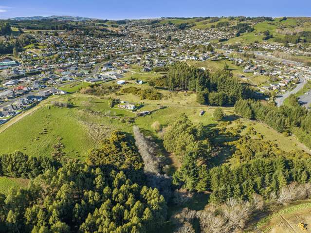 353 Main South Road Green Island_4