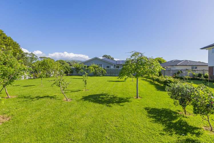 19 David Street Waikanae_25