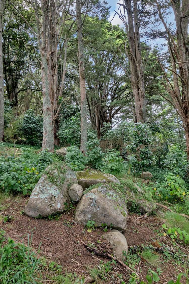 Lots 3, 4 & 5 Don Meara Lane Kauri_29
