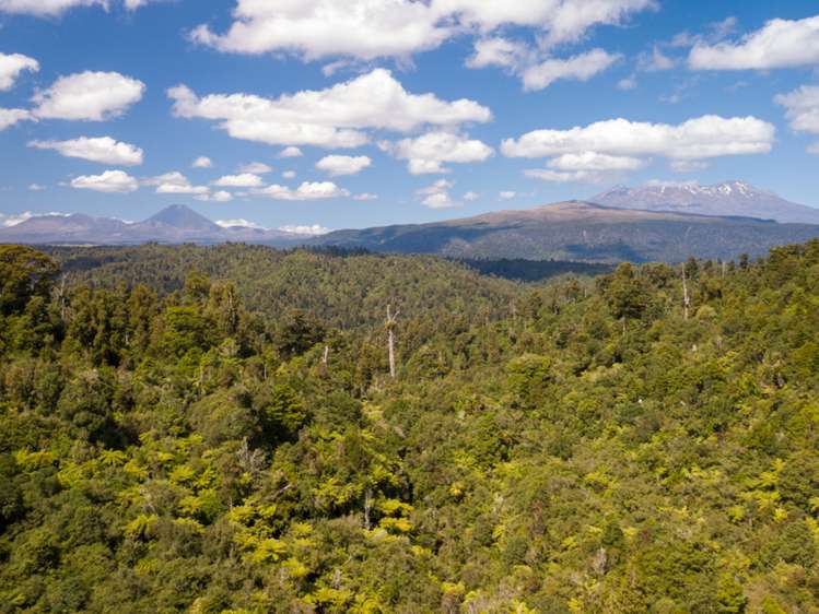 552b Cuff Road National Park_0