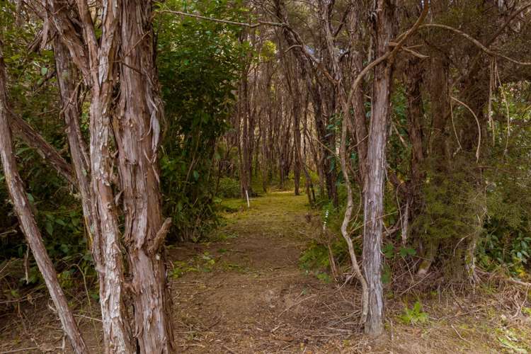 4023 Northbank Road Wairau Valley_32