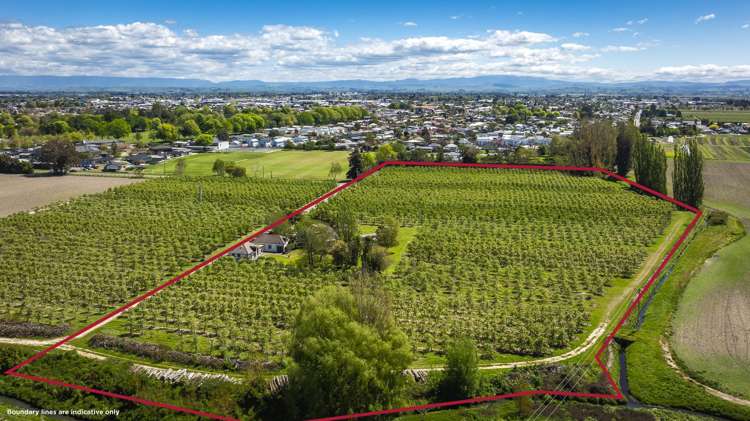 'Ashfield' - 52 Beatson Road Parkvale_5
