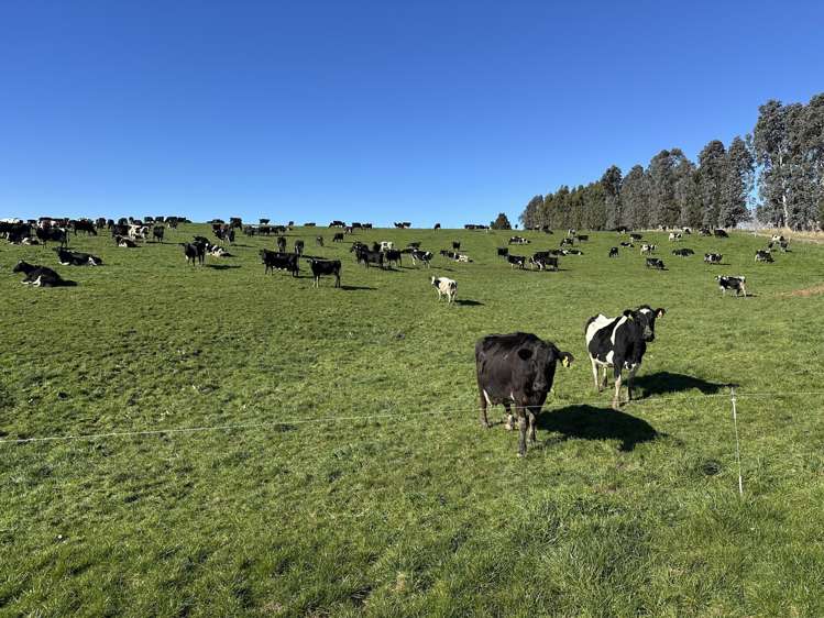 142 Endowment Road Winton Surrounds_7