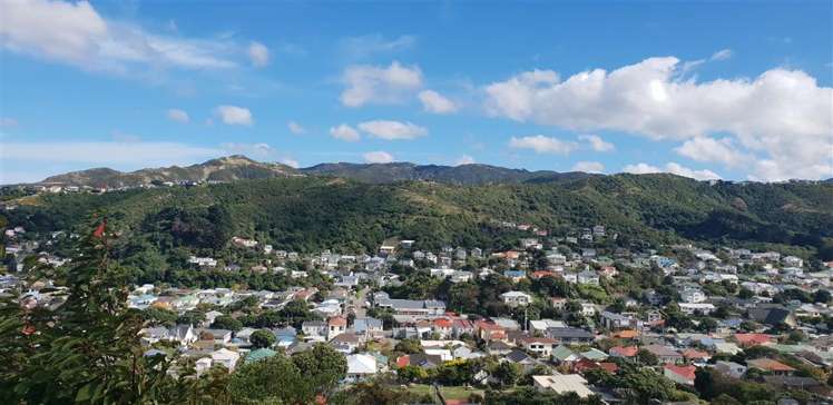 119 Volga Street Island Bay_1