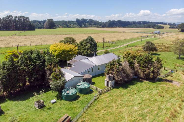 487 France Road Rangitikei Surrounds_17