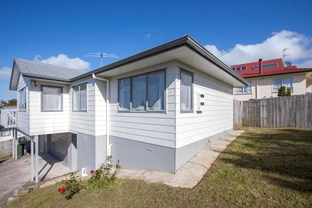 8 Halleys Place Mt Roskill_2