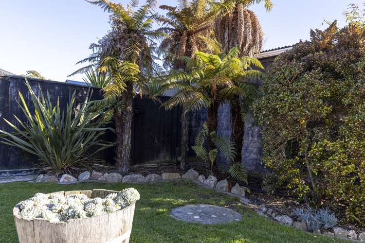 27 Mowat Street Springlands_19